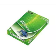 Europapier STANDARDNI PAPIR A5, 80g/m2, 1x500 listova (format papira A5 !!!! )
