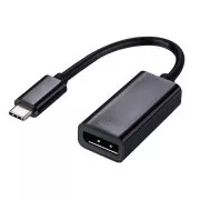 C-TECH Adapter Type-C na Displayport, M/Ž, 15cm