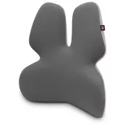CONNECT IT ZA ZDRAVLJE GamaPro Anatomska potpora za lumbalni stolac, SIVA