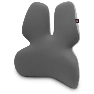 CONNECT IT ZA ZDRAVLJE GamaPro Anatomska potpora za lumbalni stolac, SIVA