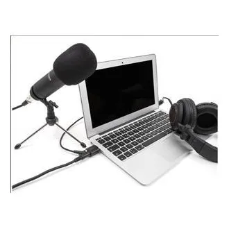 Delock vanjska USB zvučna kartica 24 bit / 96 kHz Plug & Play za Windows, MAC, Linux, Chrome OS