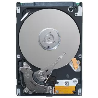 Dell 1.92TB SSD SATA Intenzivno čitanje 6Gbps 512e 2.5in Hot-Plug CUS Kit