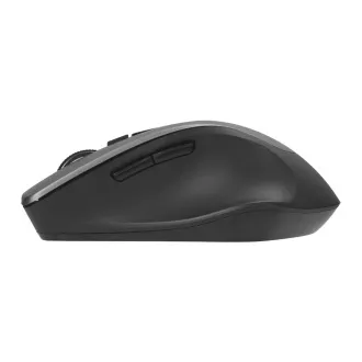 ASUS WT425/Ergonomski/Optički/Za dešnjake/1600 DPI/Bežični USB/Sivi