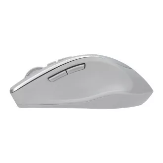 ASUS WT425/Ergonomski/Optički/Za dešnjake/1600 DPI/Bežični USB/Srebrni