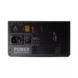 FSP ADVAN GM/750W/ATX 3.1/80PLUS Zlatna/Modularna/Maloprodajna