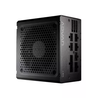 FSP ADVAN GM/1000W/ATX 3.1/80PLUS Zlatna/Modularna/Maloprodajna