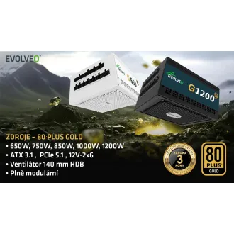 EVOLVEO G1000/1000W/ATX 3.0/80PLUS Gold/Modular