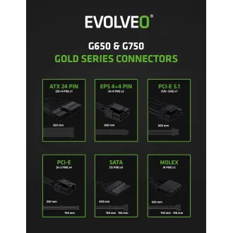 EVOLVEO G750, 750W, ATX3.1, 14cm, aPFC, 80+ZLATNO, 3GODINE RADA