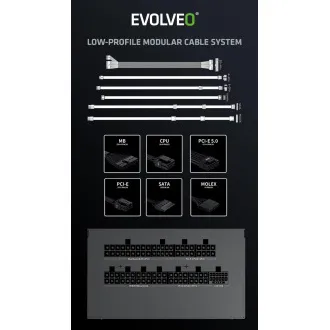 EVOLVEO G750, 750W, ATX3.1, 14cm, aPFC, 80+ZLATNO, 3GODINE RADA