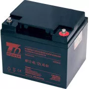 Akumulator T6 Power NP12-45, 12V, 45Ah