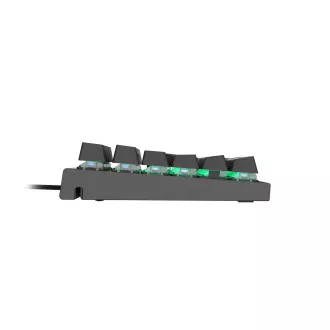 Genesis gaming mehanička tipkovnica THOR 300/RGB/Outemu plava/žičani USB/US raspored/crna