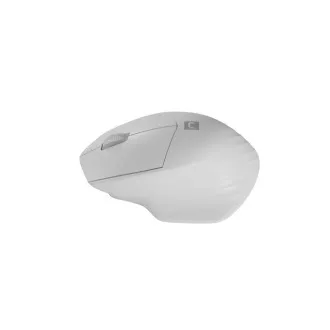 Natec optički miš SISKIN 2/Office/Optički/Za dešnjake/1600 DPI/USB+BT/Bijeli
