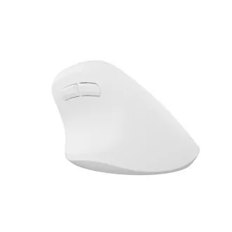 Bežični miš Natec CRAKE 2/Uredski/Optički/2400 DPI/USB+BT/Bijeli/Vertikalni/Optički/Za dešnjake