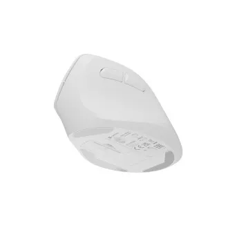 Bežični miš Natec CRAKE 2/Uredski/Optički/2400 DPI/USB+BT/Bijeli/Vertikalni/Optički/Za dešnjake
