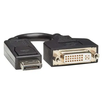 Video adapter DisplayPort / DVI (muški/ženski), 15,2 cm