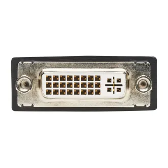 Video adapter DisplayPort / DVI (muški/ženski), 15,2 cm