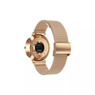 CARNEO Phoenix HR+ 2. generacije/41 mm/zlato/Elegantna narukvica/zlato