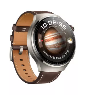 Huawei Watch 4 Pro/Titan/Elegant Band/Smeđa
