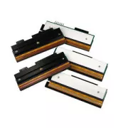 ISPISNE GLAVE ZT200, 203 dpi