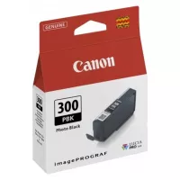 Canon PFI-300 (4193C001) - tinta, black (crna)