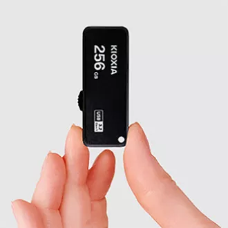 Kioxia USB flash pogon, USB 3.0, 256GB, Yamabiko U365, Yamabiko U365, crni, LU365K256GG4