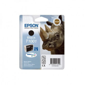 Epson T1001 (C13T10014010) - tinta, black (crna)