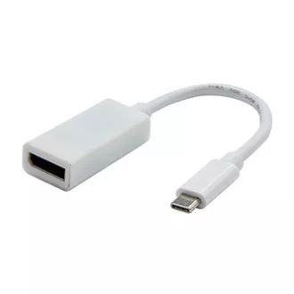 USB/Video konverter, DP Alt Mode, USB C muški - DisplayPort ženski, bijeli, 4K2K@30Hz 65507, NA AKCIJI