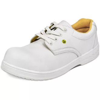 RAVEN MF ESD S1 SRC niska cipela