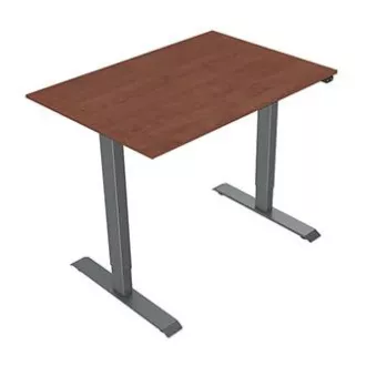 Radni stol s električno podesivom visinom 75x120cm, sivi, ergo Radni stol s električno podesivom visinom 75x120cm, sivi, ergo