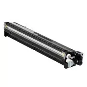Ricoh D1773020 - toner, black (crni)