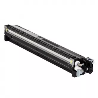 Ricoh D1773020 - toner, black (crni)