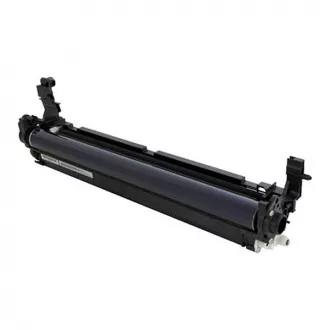 Ricoh D2442209 - toner, black (crni)
