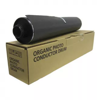 Ricoh D0099510 - toner, black (crni)