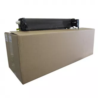 Ricoh D1442251 - bubanj, black (crna)