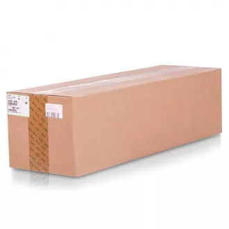 Ricoh D0292252 - bubanj, black (crna)