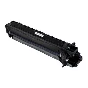 Ricoh D2970121 - bubanj, black (crna)