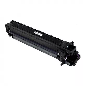Ricoh D2970121 - bubanj, black (crna)