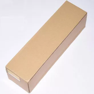 Ricoh D1799510 - bubanj