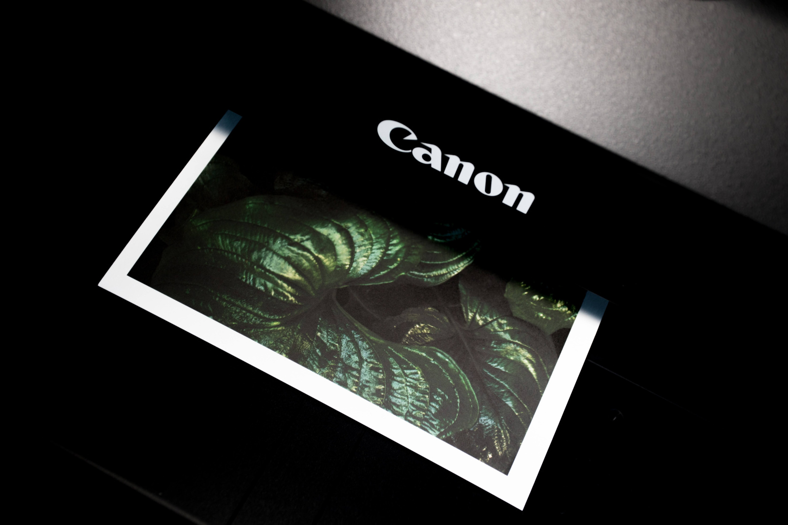 Ispis slike na Canon printeru